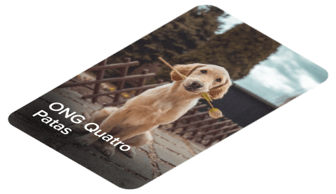 Imagem de um cachorro